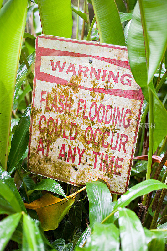 Flash Flooding Warning Sign